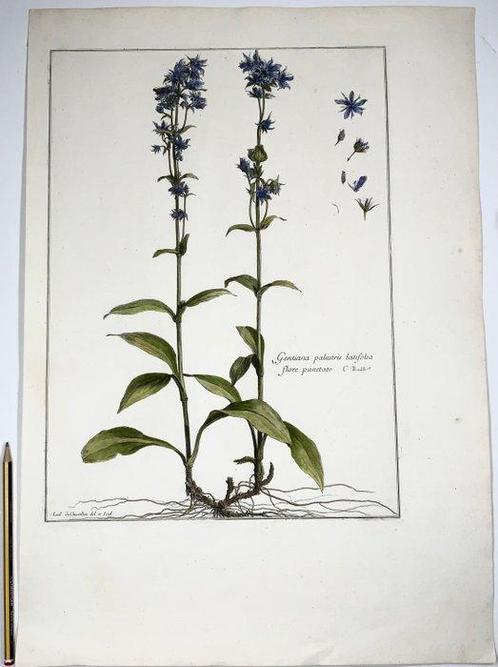 Nicolas Robert (1614-1685); Louis de Chastillon (1639-1734), Antiek en Kunst, Antiek | Boeken en Bijbels