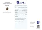 Geen reserve - ALGT-gecertificeerd - Natuurlijke, Verzamelen, Mineralen en Fossielen