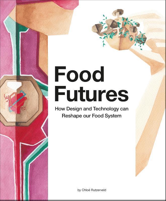 Food Futures 9789063695170 Chloe Rutzerveld, Boeken, Taal | Engels, Gelezen, Verzenden