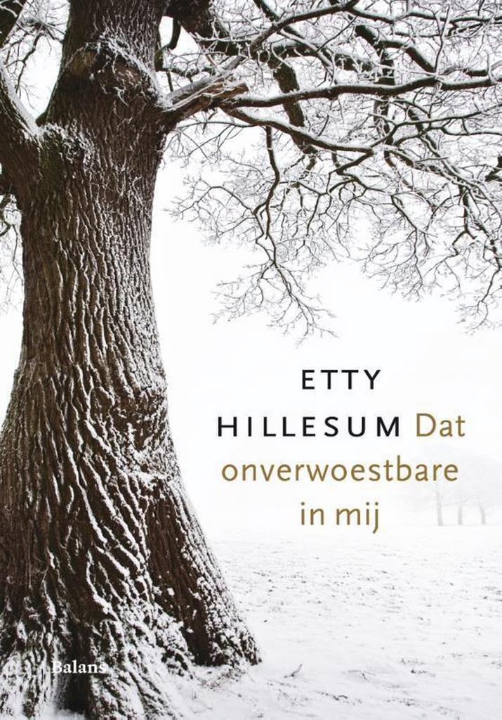 Dat onverwoestbare in mij 9789460038358 Etty Hillesum, Boeken, Literatuur, Zo goed als nieuw, Verzenden