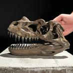 Geen veilingminimum - Een replica van een dinosaurusschedel