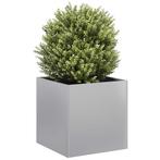 vidaXL Plantenbak 40x40x40 cm gegalvaniseerd staal, Tuin en Terras, Verzenden, Nieuw, Metaal