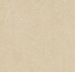 Forbo Marmoleum Fresco 3861 Arabian pearl, Verzenden, Nieuw