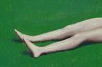 Giacomo Zornetta - The lunatic is on the grass