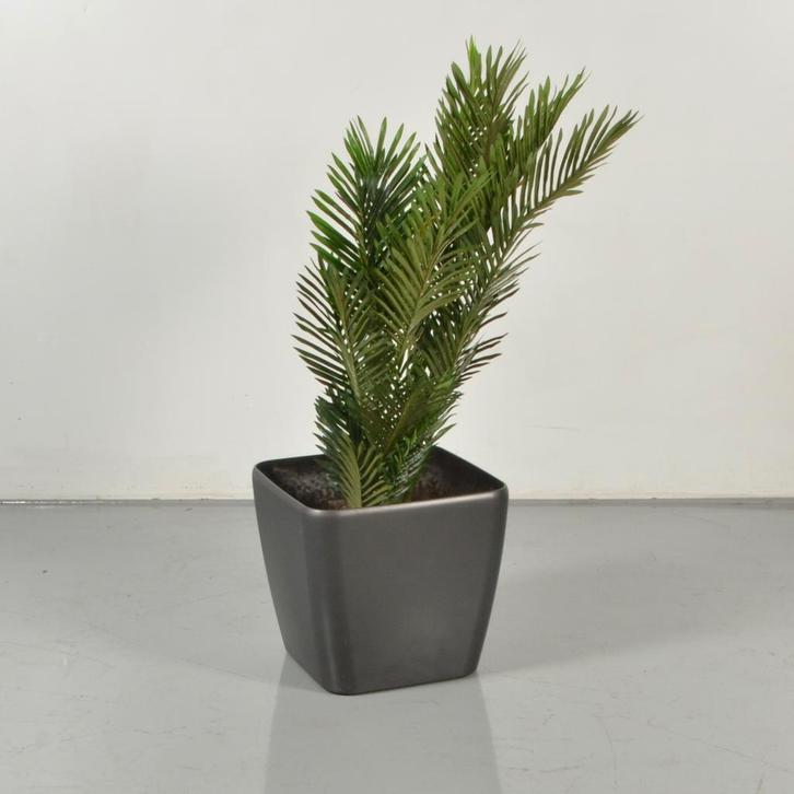 Gebruikte, Tuin en Terras, Bloembakken en Plantenbakken, Ophalen of Verzenden