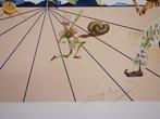 Salvador Dali (1904-1989) - Flordali I, Antiek en Kunst