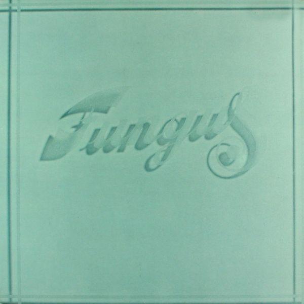 LP gebruikt - Fungus  - Fungus (Netherlands, 1974), Cd's en Dvd's, Vinyl | Overige Vinyl, Zo goed als nieuw, Verzenden