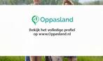 Annelie zoekt een oppas in Almkerk voor 5 kinderen., Nieuw