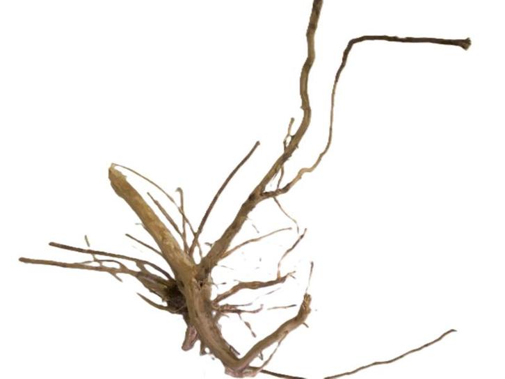 Driftwood Selected DW26 - 45x30x25cm (Small drift wood), Dieren en Toebehoren, Vissen | Aquaria en Toebehoren, Plant(en), Steen of Hout