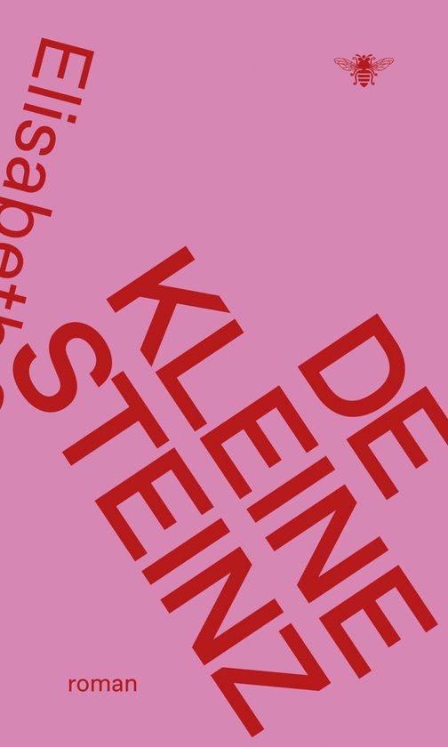 De kleine Steinz 9789403134048 Elisabeth Steinz, Boeken, Romans, Zo goed als nieuw, Verzenden