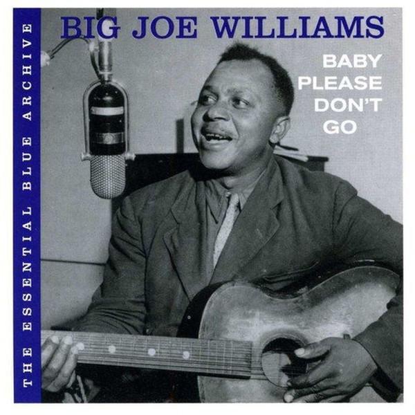cd digi - Big Joe Williams - Baby Please Dont Go, Cd's en Dvd's, Cd's | Jazz en Blues, Zo goed als nieuw, Verzenden