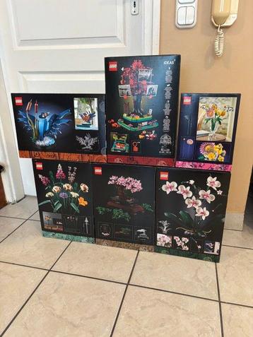 Lego Set - Botanical Collection, Icons - Sealed LEGO beschikbaar voor biedingen