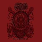 cd - Dying Embrace - Era Of Tribulation, Verzenden, Zo goed als nieuw