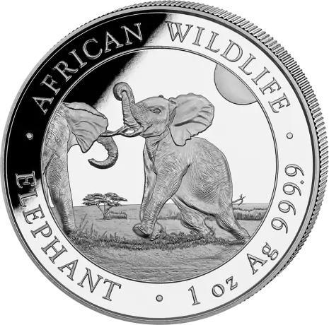 Somalische Olifant 1 oz 2024, Postzegels en Munten, Munten | Afrika, Losse munt, Zilver, Overige landen, Verzenden