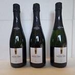 Coopérative Les Coteaux du Landion, Gaston Cheq A Meurville, Nieuw