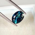 Zonder Minimumprijs Blauw Saffier - 1.38 ct - nternational, Nieuw