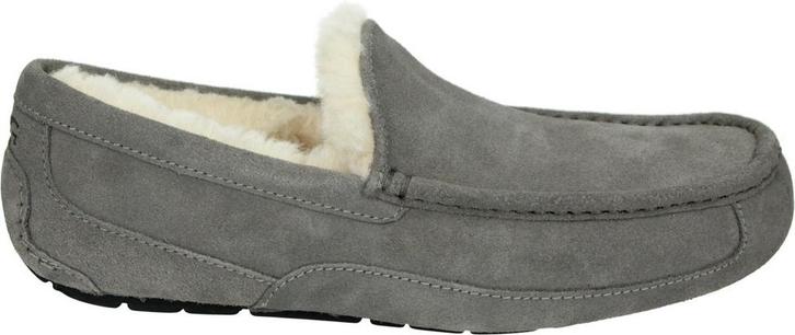 UGG - maat 43- ASCOT M NEW - Volwassenen Heren, Kleding | Heren, Schoenen, Verzenden