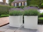 bloembak voor buiten 40x40x40 in diverse kleuren, Tuin en Terras, Minder dan 60 cm, Vierkant, Nieuw, Ophalen of Verzenden