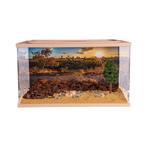 Ant Design Set - City (inrichting 20x13x12), Dieren en Toebehoren