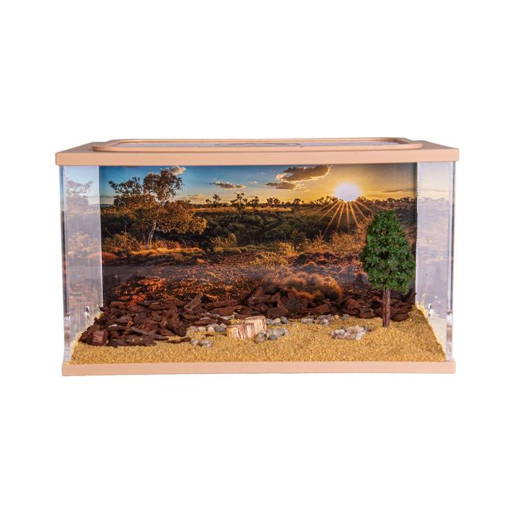 Ant Design Set - City (inrichting 20x13x12), Dieren en Toebehoren, Insecten en Spinnen