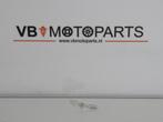 Lamp 12V 3W T7 WB, Motoren, Ophalen of Verzenden, Nieuw