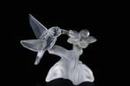 Figuur - Swarovski - Kolibrie (Boxed + Certificate) -
