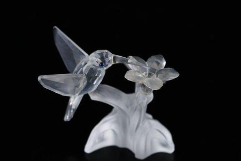 Figuur - Swarovski - Kolibrie (Boxed + Certificate) -, Antiek en Kunst, Curiosa en Brocante