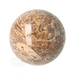 Fossielen schelpen Jaspis Bol Nr 9  - Ø 5.71 cm, Verzenden, Nieuw