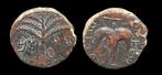 Judaea. Bar Kochba. Bar Kochba Revolt AE25 Year 3 134-5 AD