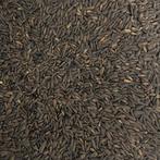 Zonnebloempitten micro zwart - 2 kilo - Overige zaden, Verzenden, Nieuw