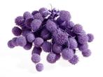 Plataan Plane ball Milka / Paars zak Plataan balletjes, Ophalen of Verzenden, Nieuw