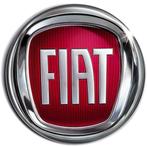 Fiat Verkopen? Grande Punto Punto Evo | Uw Auto Verkopen ?, Nieuw, Punto EVO