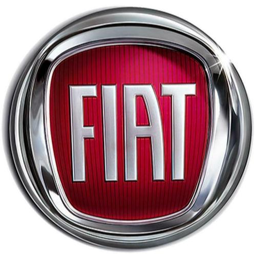 Fiat Verkopen? Grande Punto Punto Evo | Uw Auto Verkopen ?, Auto's, Fiat, Punto EVO