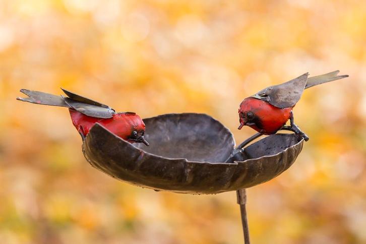 Vogeldrinkschaal met twee roodborsten op metalen staaf, Tuin en Terras, Tuinbeelden, Nieuw, Metaal, Dierenbeeld, Ophalen of Verzenden