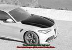 Alfa Romeo Giulia QV Carbon Fiber Motorkap, Verzenden