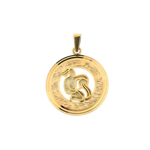 Gouden sterrenbeeld hanger; Waterman (gouden hanger), Sieraden, Tassen en Uiterlijk, Bedels, Gebruikt, Overige merken, Goud, Ophalen of Verzenden