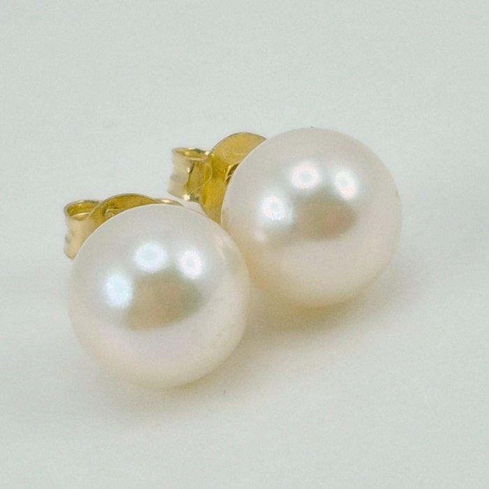 18 karaat - Geel goud - Oorbellen - Akoya-parel uit Japan, Antiek en Kunst, Curiosa en Brocante