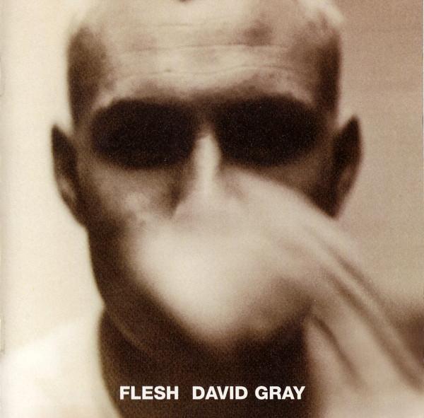 cd - David Gray - Flesh, Cd's en Dvd's, Cd's | Overige Cd's, Zo goed als nieuw, Verzenden
