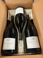 2020 Domaine Patrick Miolane - Puligny Montrachet - 6, Verzamelen, Wijnen, Nieuw