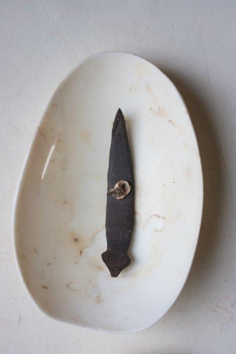 Steentijdse bailersieraden (Cymbiumschale) met, Antiek en Kunst, Kunst | Niet-Westerse kunst