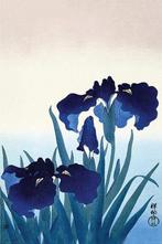 Poster Ohara Koson Iris Flowers 61x91,5cm, Verzenden, Nieuw, A1 t/m A3