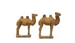 Oud Chinees, Tang-dynastie Terracotta Set van kleine