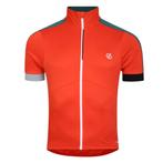 -54% Dare2b  Dare2b Heren protraction ii gerecycleerde licht, Kleding | Heren, Verzenden, Nieuw, Oranje