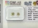 2 pcs Diamant (Natuurlijk gekleurd) - 0.54 ct - Rond Geel, Nieuw