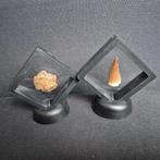 Sericho meteoriet pallasite mossasaurus tand in display -