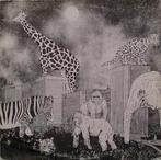 LP gebruikt - Cashmere Jungle Lords - Oodjie-Boodjie Nigh..., Verzenden, Zo goed als nieuw