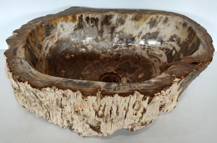 Waskom - Versteend hout - wasbak, Antiek en Kunst, Curiosa en Brocante