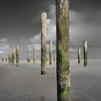 Wiepke Folkerts - Light, Antiek en Kunst