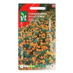 Bloemzaden Sterafrikaantje | VT (Oranje), Verzenden