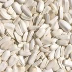 Witte zonnebloempitten - 2,5 kilo - Overige zaden, Verzenden, Nieuw